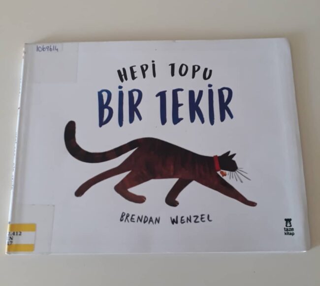 20191231_174225 Hepi Topu Bir Tekir