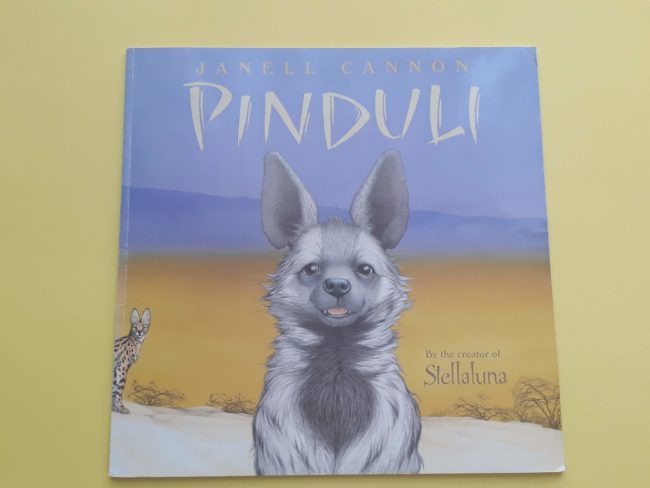 20200511_104844 pinduli