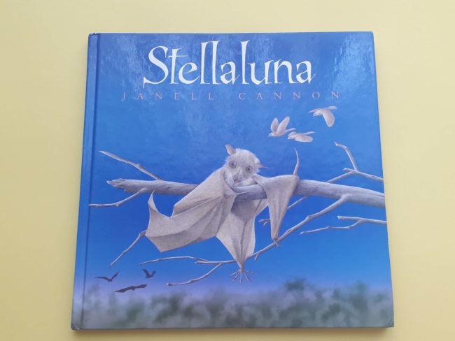 20200511_105058 stellaluna