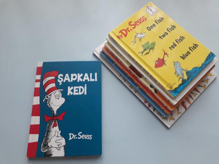 şapkalı kedi yorum