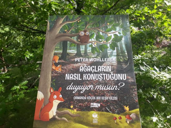 IMG_20200613_175549_055 kitap yorum