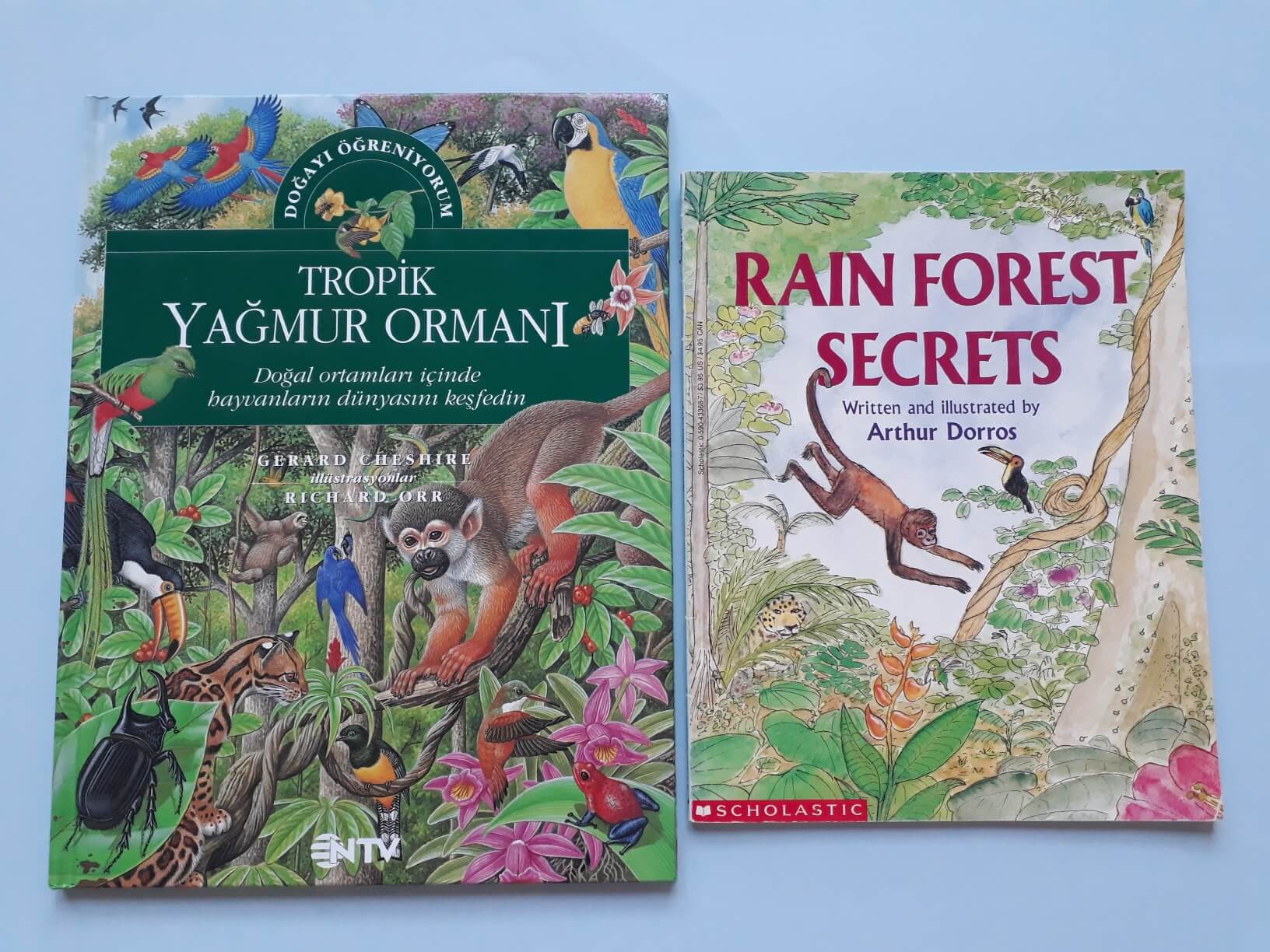 20200718_194337_resized yağmur ormanı