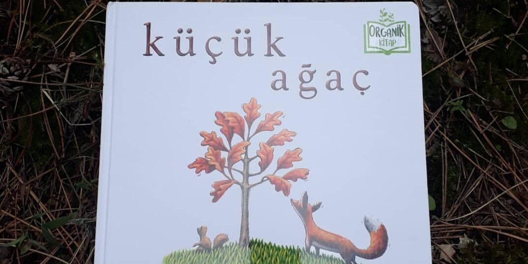 Küçük Ağaç