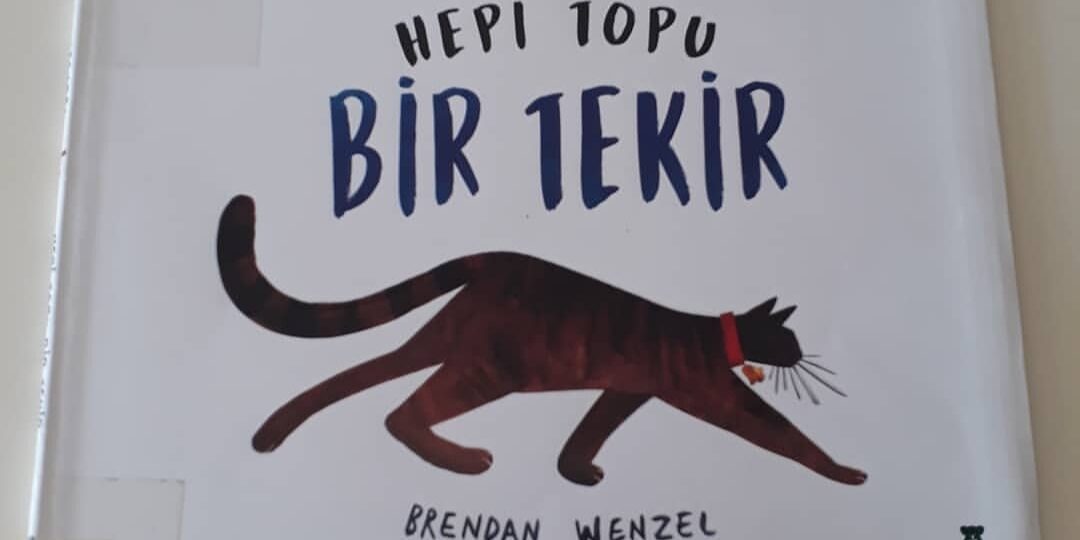 Hepi Topu Bir Tekir