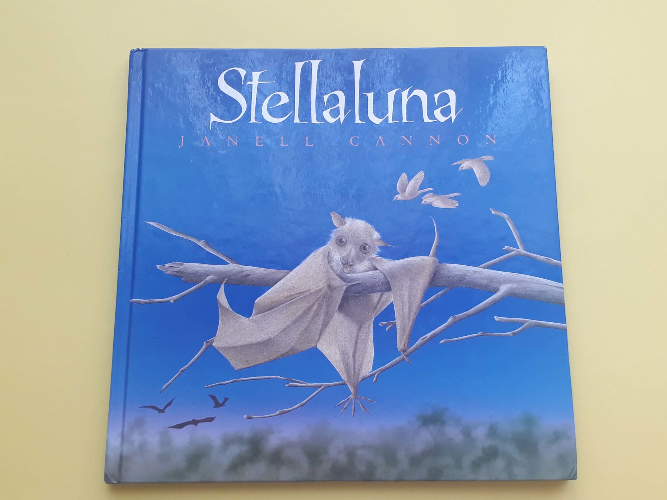 20200511_105058 stellaluna