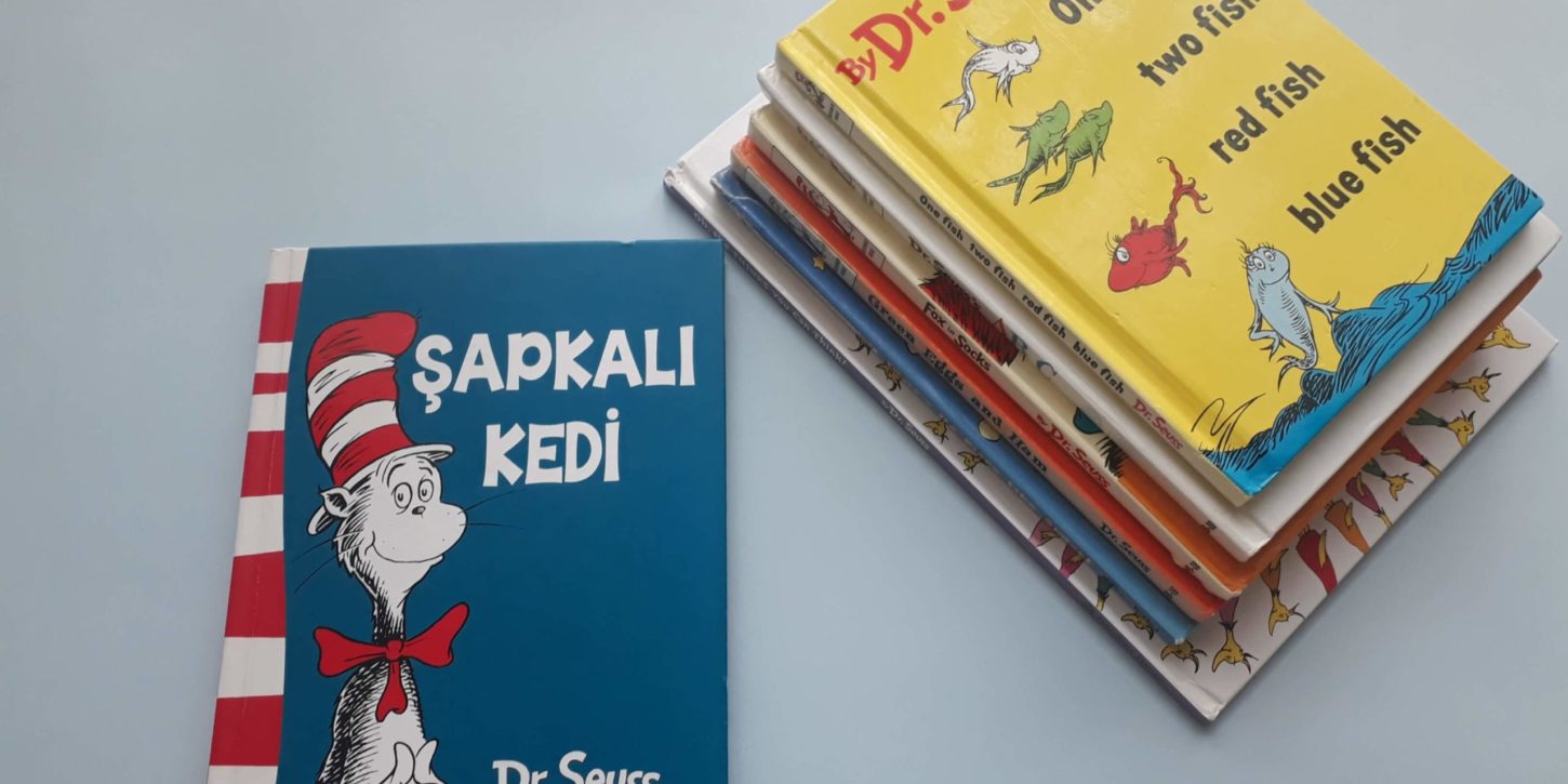 şapkalı kedi yorum