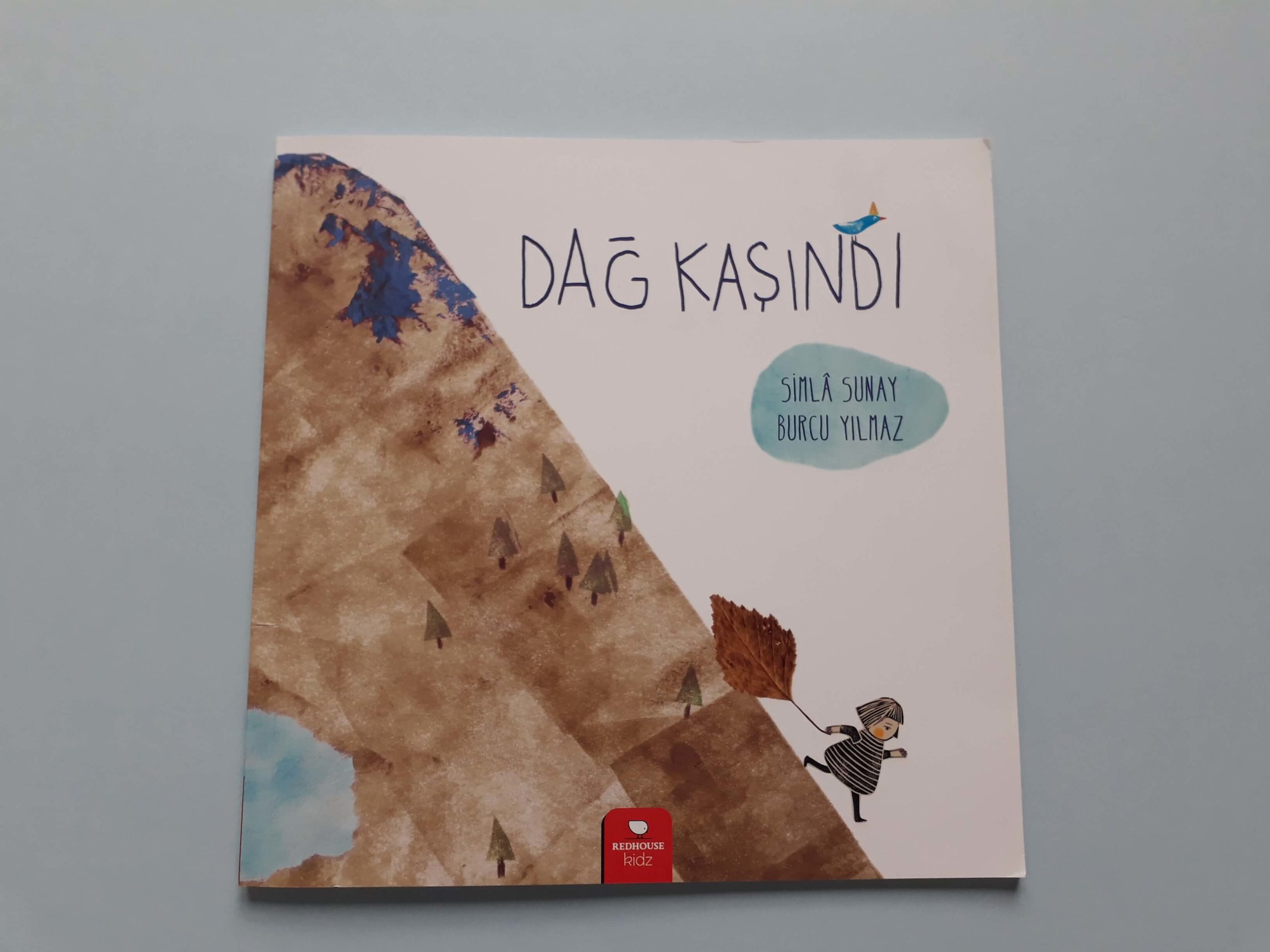 20200601_172549 dağ kaşındı