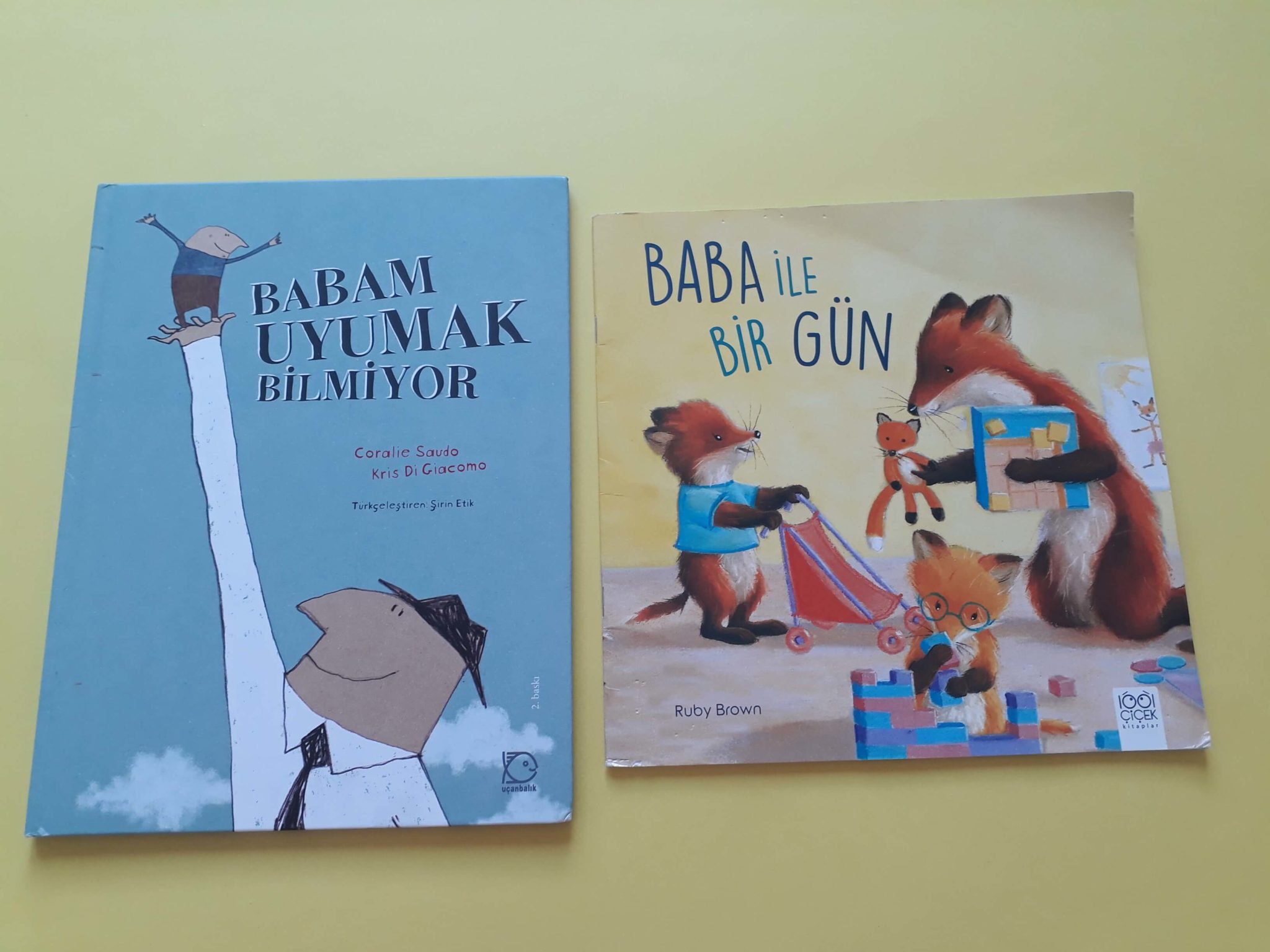 Babalarla İlgili Kitaplar Ceviz Kabuğundan Gemiler tavsiye