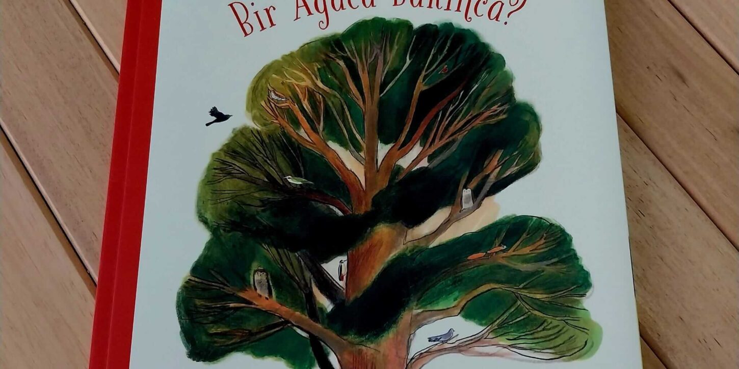 Ne Görürsün Bir Ağaca Bakınca