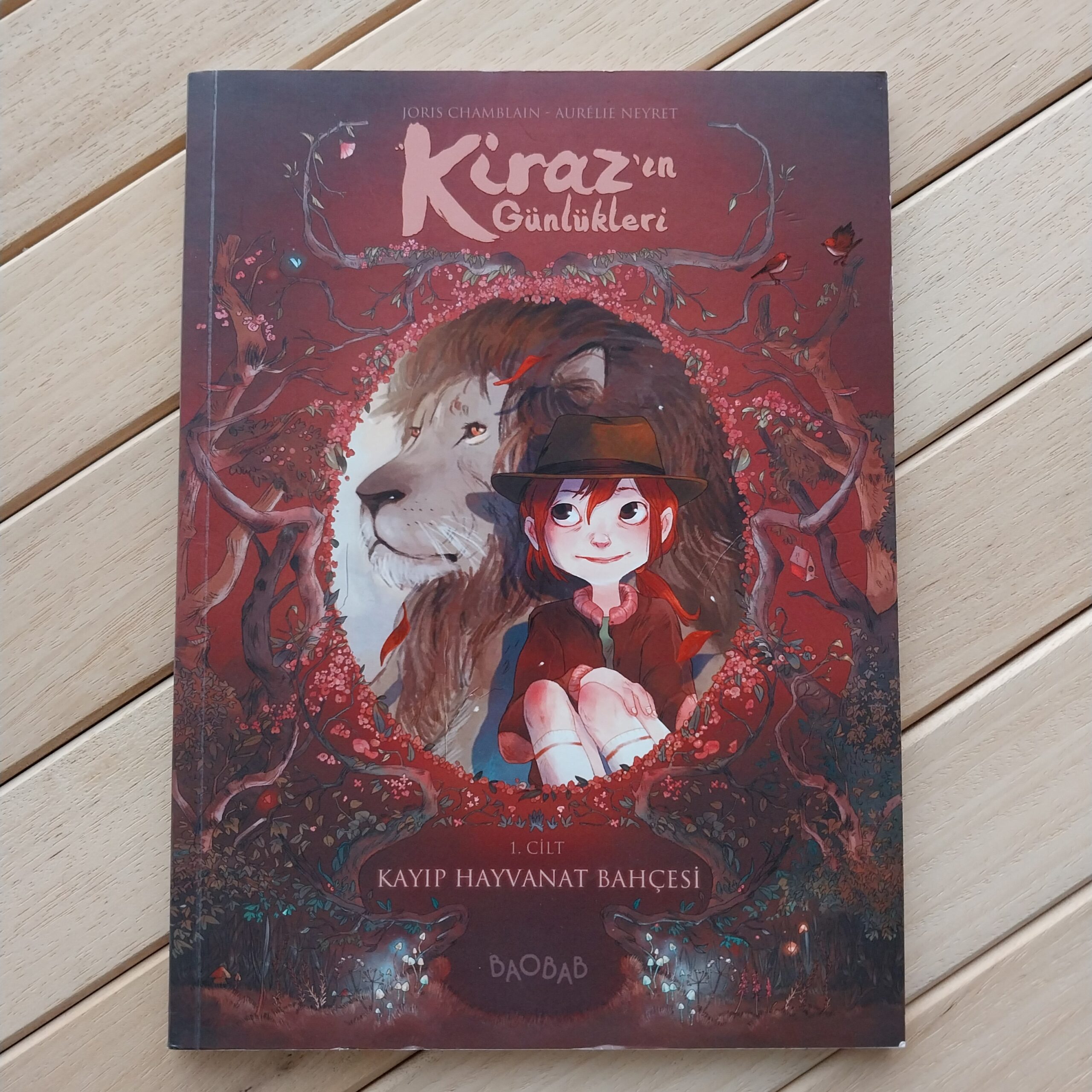 Polish_20241105_173301395 Kiraz'ın Günlükleri