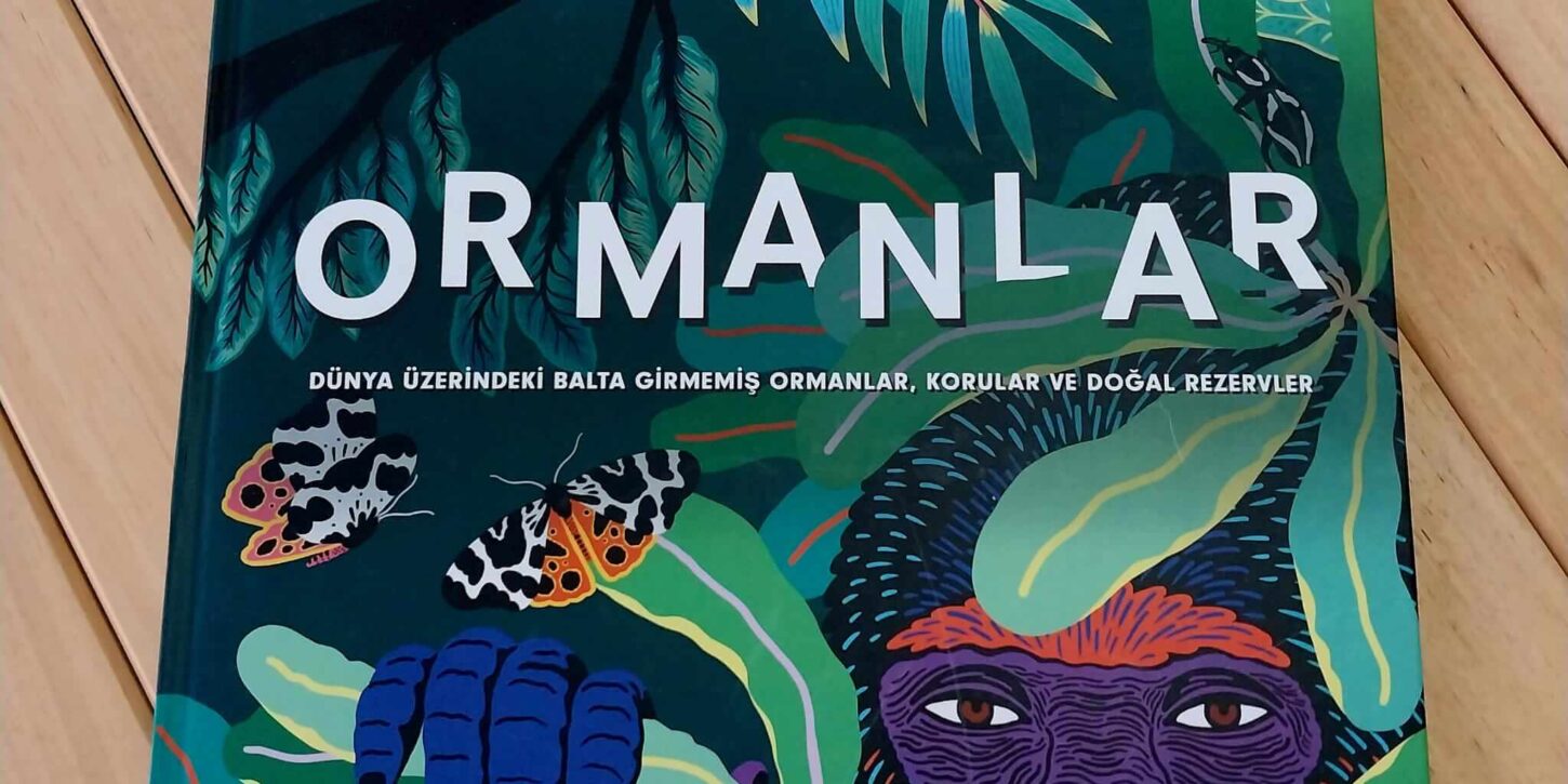 Ormanlar